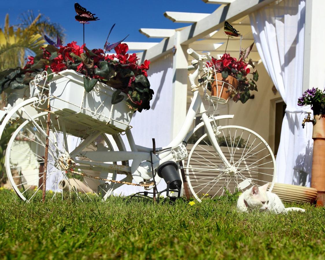 Apartmán Oasi Siciliana Terrasini Exteriér fotografie